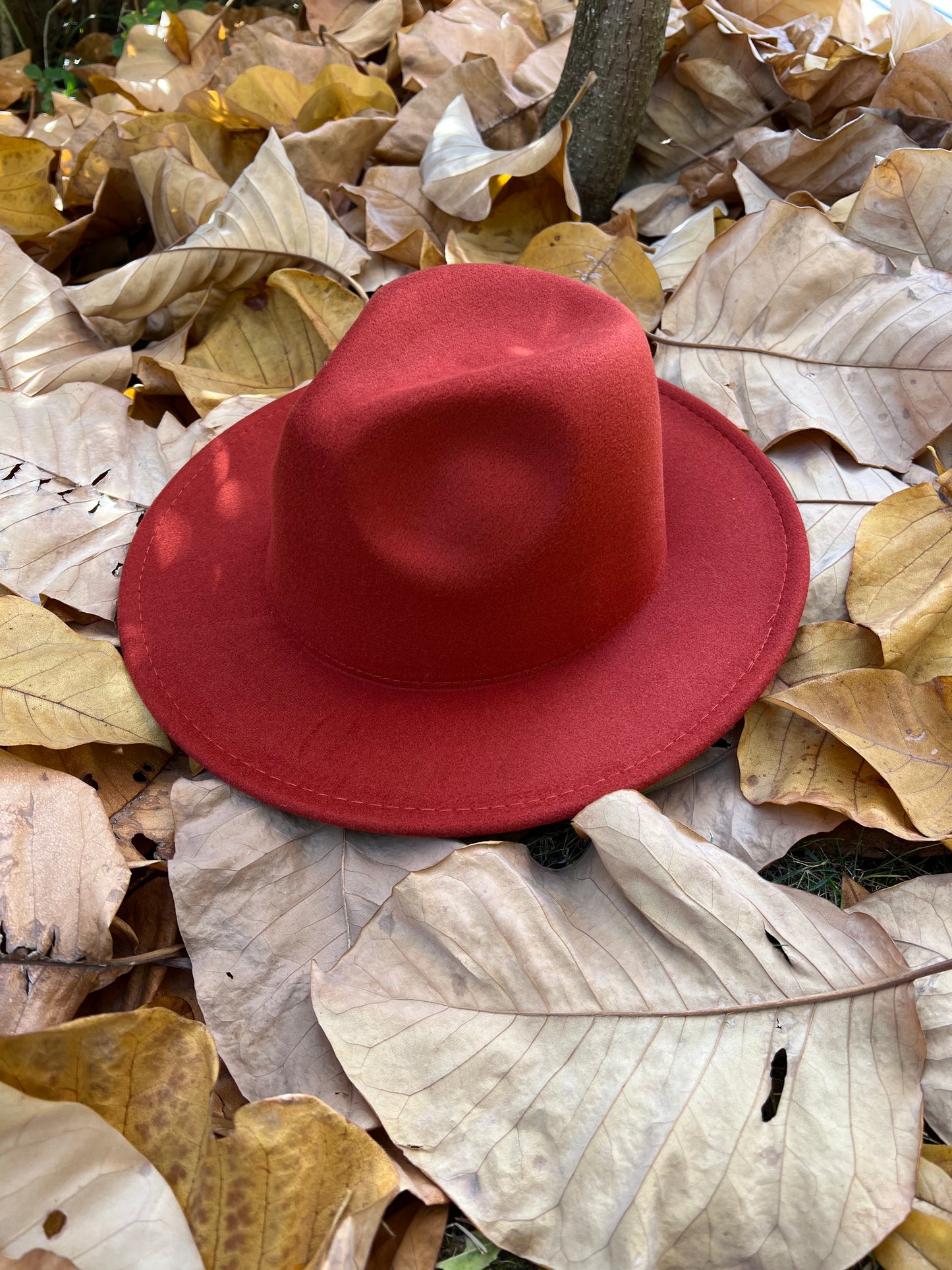 CARAMEL FEDORA