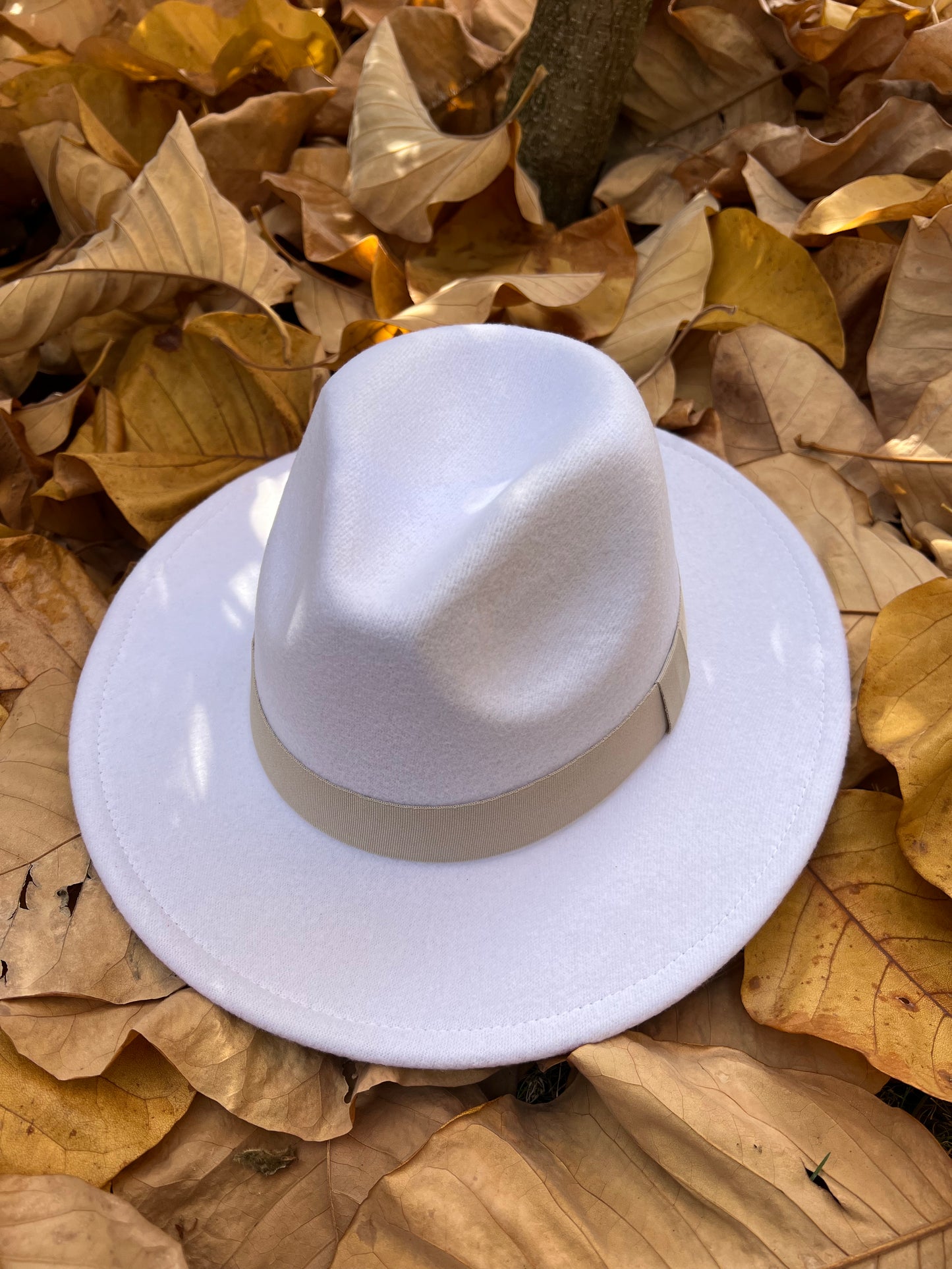 WHITE FEDORA